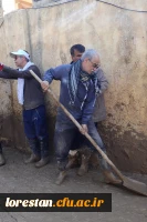 به گزارش روابط عمومی دانشگاه فرهنگیان استان لرستان گروه جهادی کارکنان و اساتید دانشگاه فرهنگیان استان لرستان با حضور در شهر پلدختربه یاری هم استانی های آسیب دیده از سیل پرداختند
