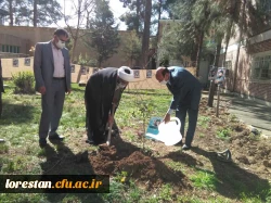33 اصله درخت در آستانه روز ۲۲ اسفند روز بزرگداشت شهدا در پردیس ها و مراکز دانشگاه فرهنگیان لرستان به یاد 33 شهید دانشجو معلم این دانشگاه غرس شد.  4