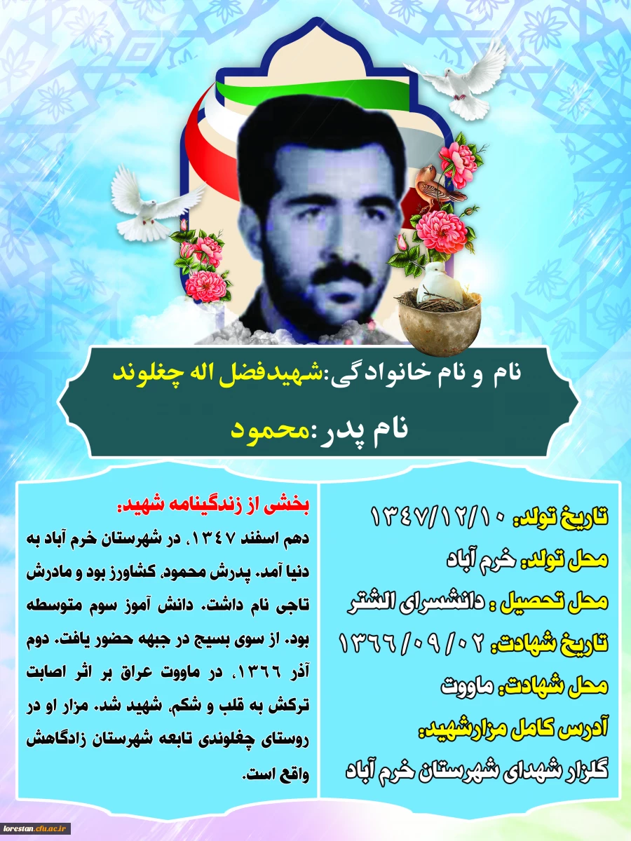 شهدای تربیت معلم