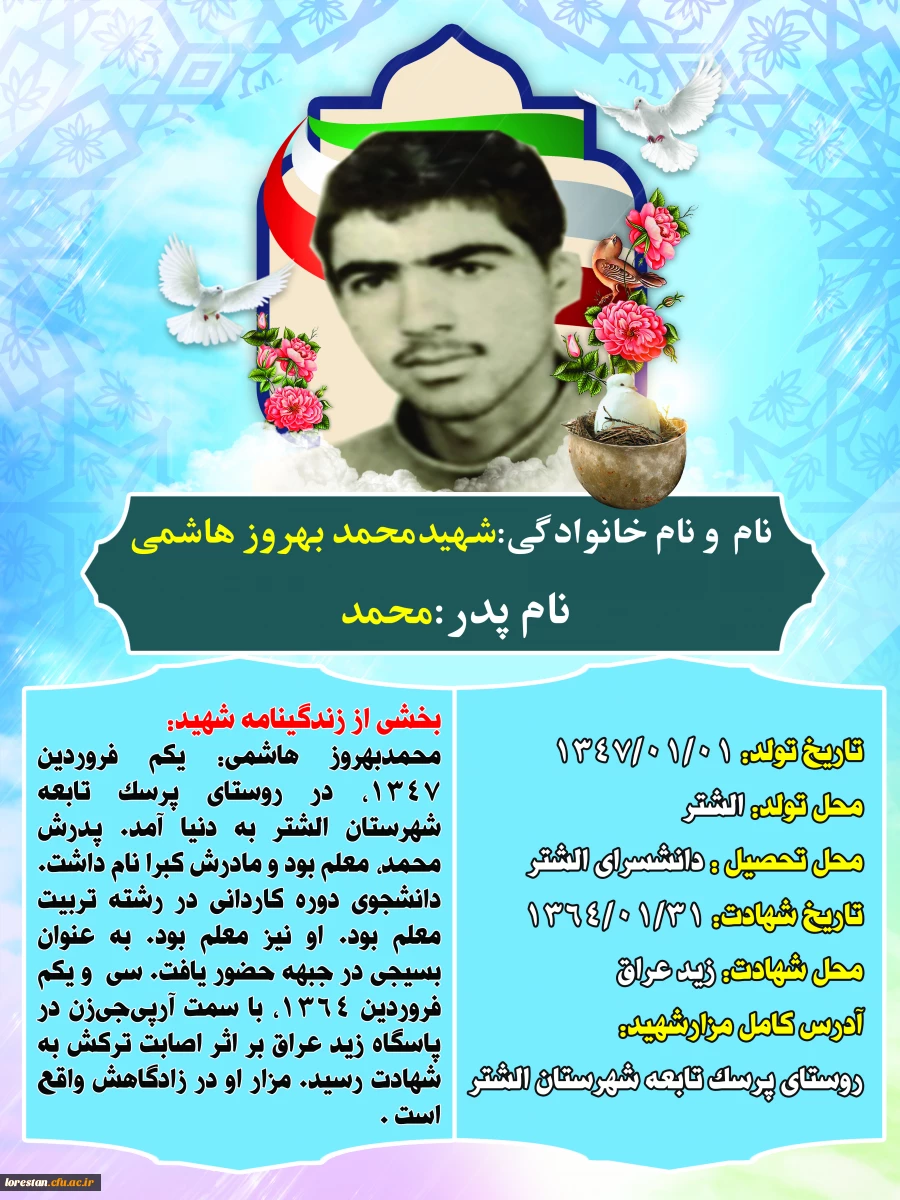 شهدای تربیت معلم