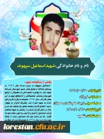 شهدای تربیت معلم