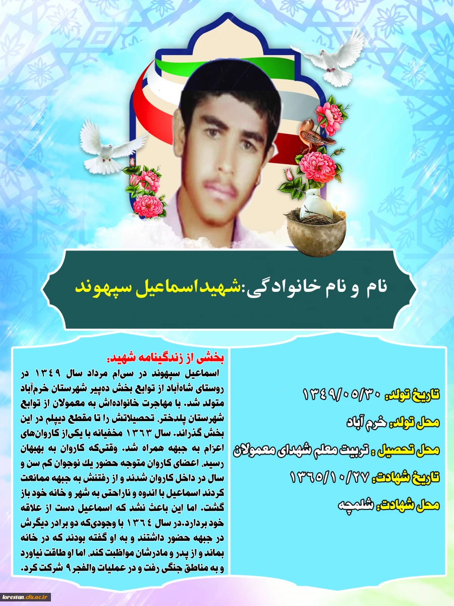 شهدای تربیت معلم