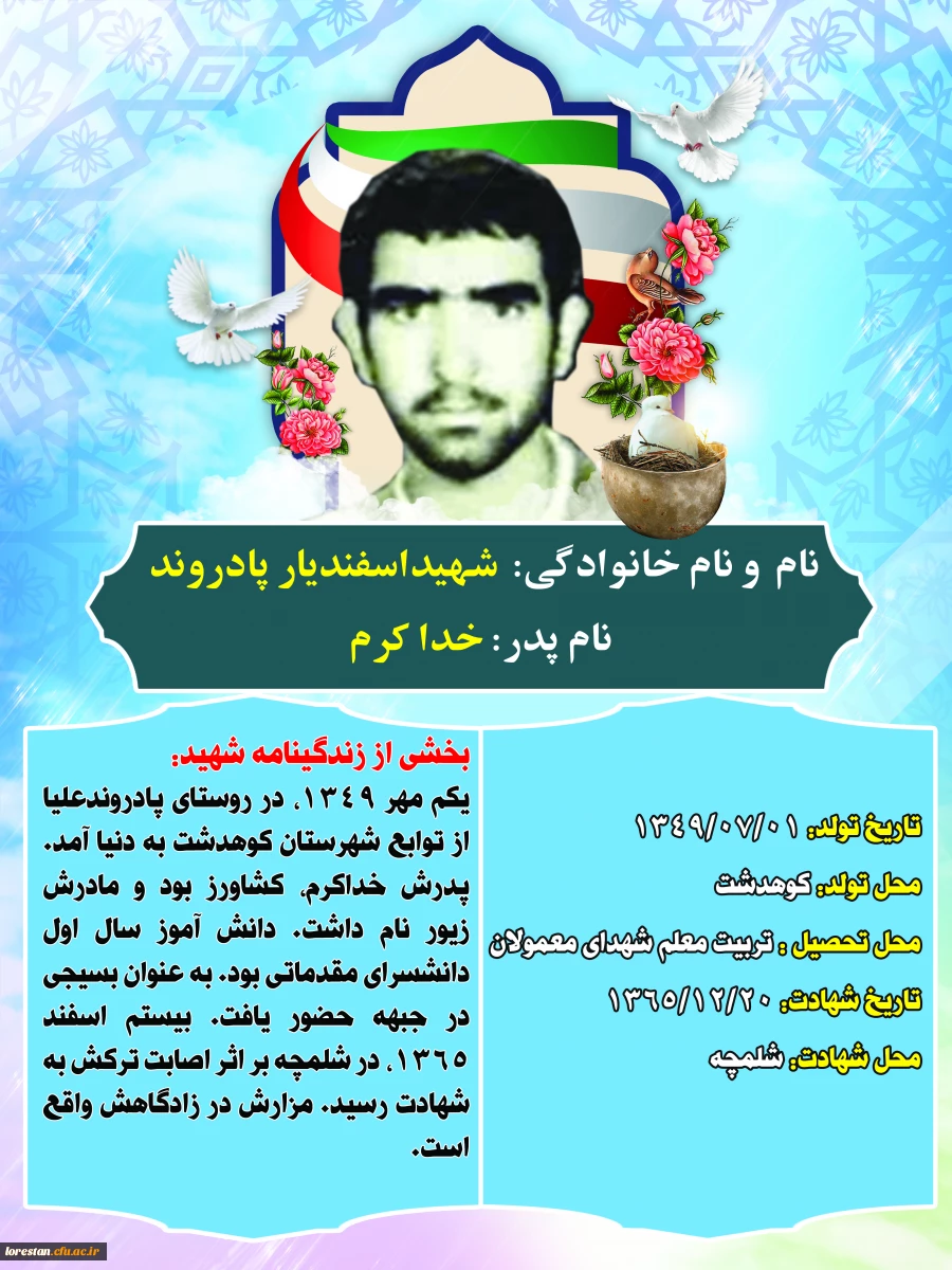 شهدای تربیت معلم