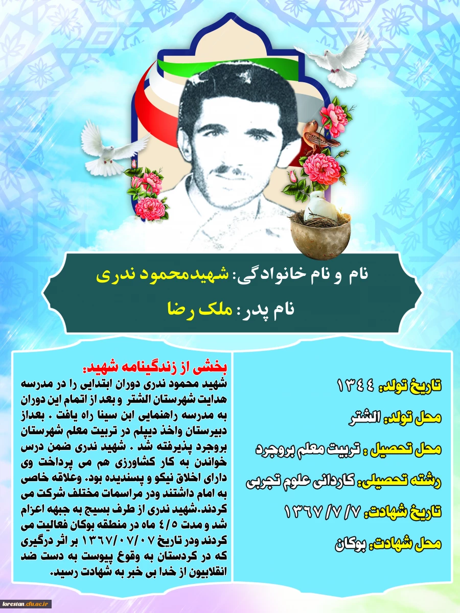 شهدای تربیت معلم