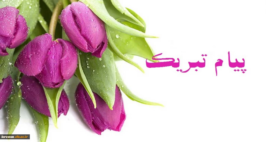 کسب رتبه اول کشوری طرح پژوهی توسط دکتر اسد یگانه  2