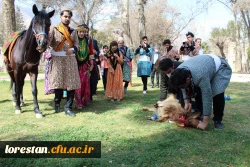 اختتامیه جشنواره اقوام برگزار شد 9