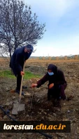  غرس نهال ایثار به مناسبت گرامیداشت یاد و خاطره شهدای دانشجومعلم دانشگاه فرهنگیان لرستان 4
