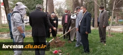 به مناسبت روز شهید و گرامی داشت یاد و خاطره شهدای دانشجو معلم، چندین نهال مثمر در محوطه پردیس ها و مراکز دانشگاه فرهنگیان لرستان غرس شد 4
