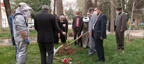 به مناسبت روز شهید و گرامی داشت یاد و خاطره شهدای دانشجو معلم، چندین نهال مثمر در محوطه پردیس ها و مراکز دانشگاه فرهنگیان لرستان غرس شد 4
