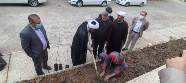 به مناسبت روز شهید و گرامی داشت یاد و خاطره شهدای دانشجو معلم، چندین نهال مثمر در محوطه پردیس ها و مراکز دانشگاه فرهنگیان لرستان غرس شد 6