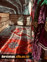 بازدید دانشجویان خواهر شرکت کننده درجشنواره سی و دوم قران و عترت بخش دوم مرحله کشوری به میزبانی دانشگاه فرهنگیان لرستان از قلعه تاریخی فلک الافلاک در خرم آباد صبح امروز شانزدهم شهریور ماه به روایت تصویر 4