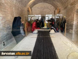 بازدید دانشجویان خواهر شرکت کننده درجشنواره سی و دوم قران و عترت بخش دوم مرحله کشوری به میزبانی دانشگاه فرهنگیان لرستان از قلعه تاریخی فلک الافلاک در خرم آباد صبح امروز شانزدهم شهریور ماه به روایت تصویر 5