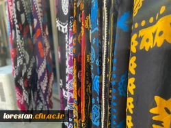 بازدید دانشجویان خواهر شرکت کننده درجشنواره سی و دوم قران و عترت بخش دوم مرحله کشوری به میزبانی دانشگاه فرهنگیان لرستان از قلعه تاریخی فلک الافلاک در خرم آباد صبح امروز شانزدهم شهریور ماه به روایت تصویر 8