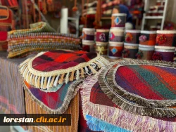 بازدید دانشجویان خواهر شرکت کننده درجشنواره سی و دوم قران و عترت بخش دوم مرحله کشوری به میزبانی دانشگاه فرهنگیان لرستان از قلعه تاریخی فلک الافلاک در خرم آباد صبح امروز شانزدهم شهریور ماه به روایت تصویر 10