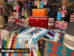 بازدید دانشجویان خواهر شرکت کننده درجشنواره سی و دوم قران و عترت بخش دوم مرحله کشوری به میزبانی دانشگاه فرهنگیان لرستان از قلعه تاریخی فلک الافلاک در خرم آباد صبح امروز شانزدهم شهریور ماه به روایت تصویر 15